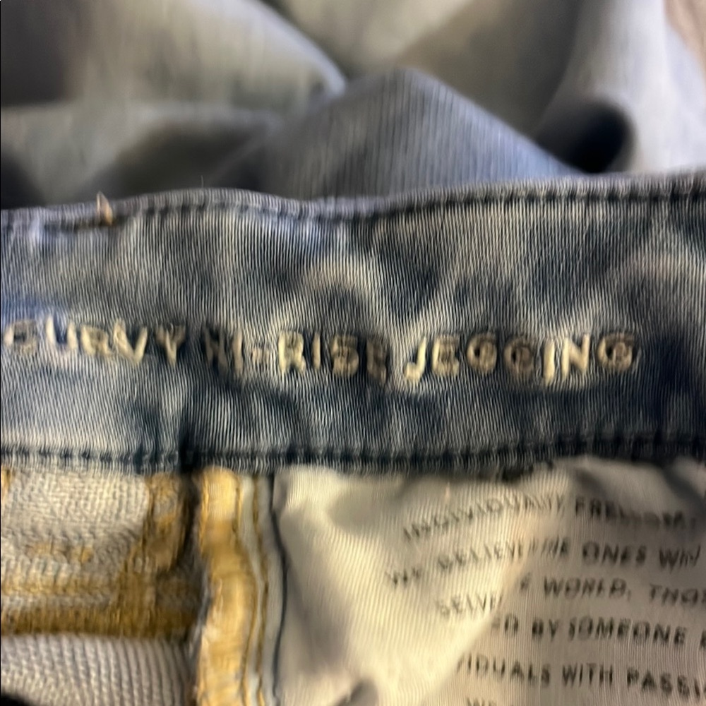 Curvy High Rise Jegging